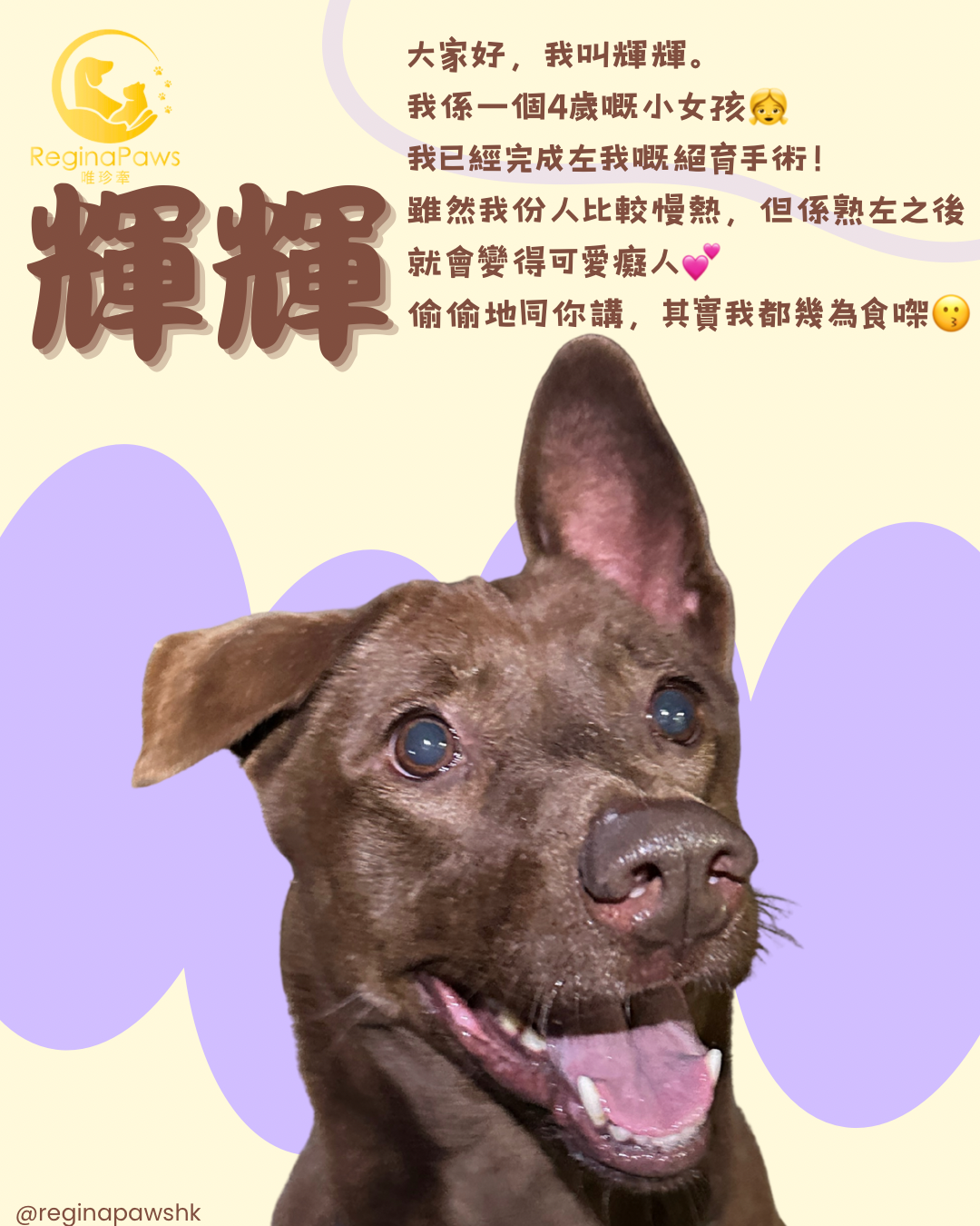 輝輝